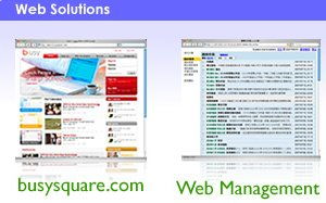 深入解析现代网络生态系统 从基础架构到专业服务